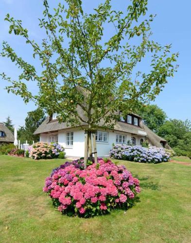 Apartamento Dieksweg 3 Pure Natur Auf Idyll
