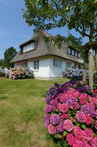 Apartamento Dieksweg 3 Pure Natur Auf Idyll