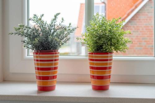 Apartamento Ferienwohnung Residenz, W2