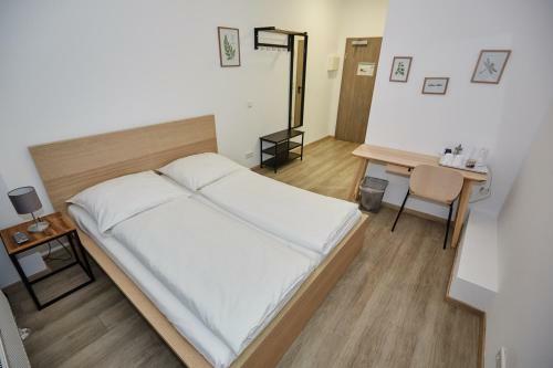 Central Studio Apartments