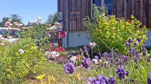 Apartamento Ferienwohnung Neppermin Use 2771