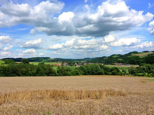 Apartamento Zum Schwinkelweg