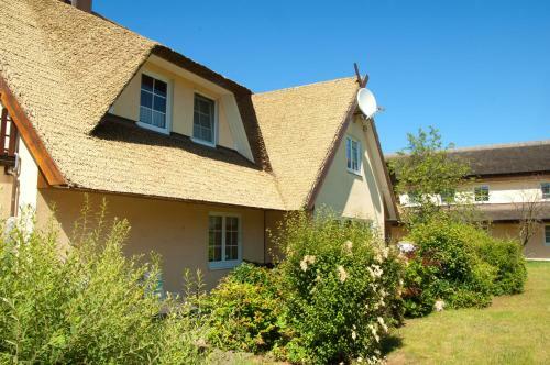 Apartamento Ferienappartement "seeschwalbe" In Alt Reddevitz