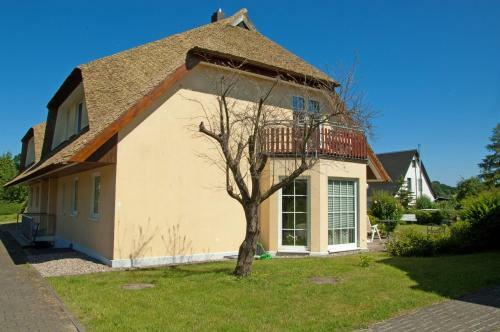 Apartamento Ferienappartement "seeschwalbe" In Alt Reddevitz