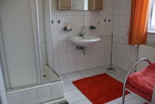 Ferienhaus Mirow See 9111