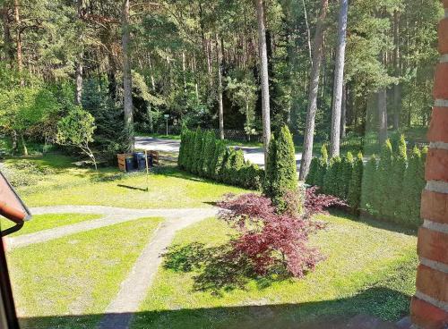 Apartamento Ferienwohnung Lubmin Vorp 2821