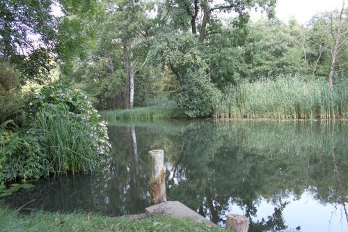Ferienhaus Eisvogel
