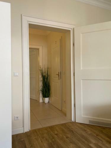 Osteiner Hof By The Apartment Suite