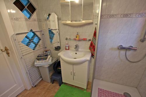 Ferienhaus Malchow See 3541