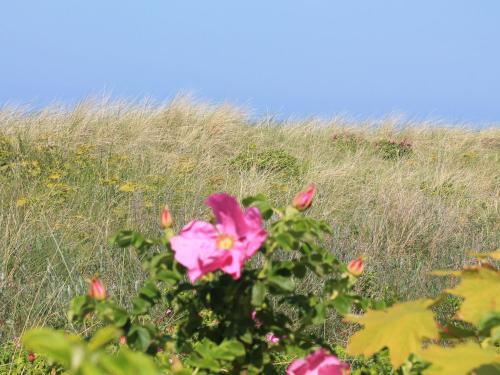 Apartamento Strandstra�e