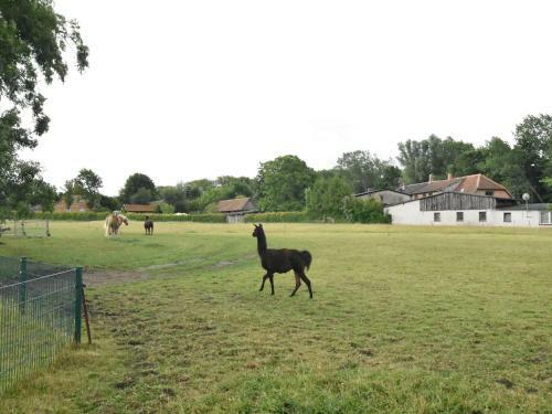 Ferien Bei Ostseebad K�hlungsborn 1