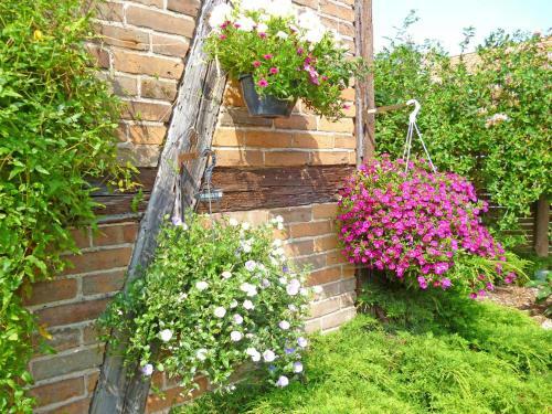 Apartamento Ferienwohnung Kleinzerlang See 9001
