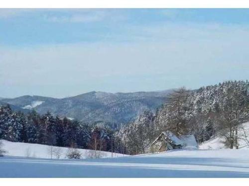 Apartamento Ferienwohnungen S�gehof
