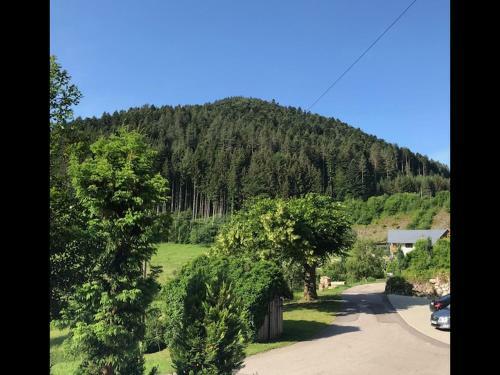 Apartamento Waldbauernhof