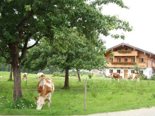 Apartamento Ferienwohnung Regina Holzner