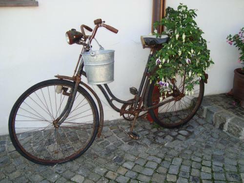 Apartamento Ferienwohnung Regina Holzner