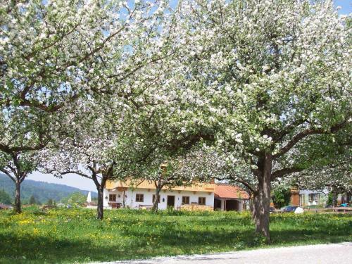 Apartamento Ferienwohnung Regina Holzner