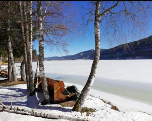 Apartamento Titisee Haus Vogelnest