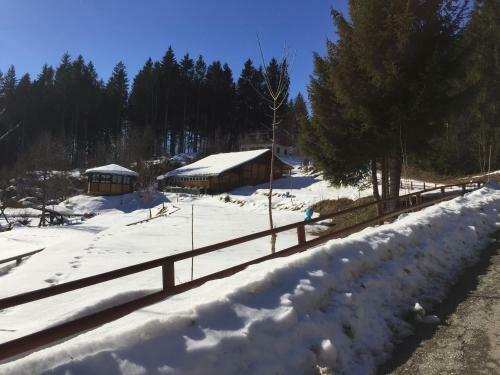 Apartamento Titisee Haus Vogelnest