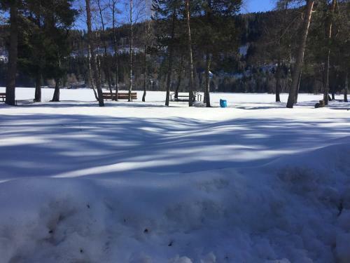 Apartamento Titisee Haus Vogelnest