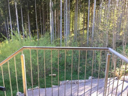 Apartamento Titisee Haus Vogelnest