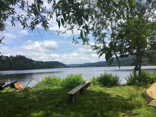 Apartamento Titisee Haus Vogelnest