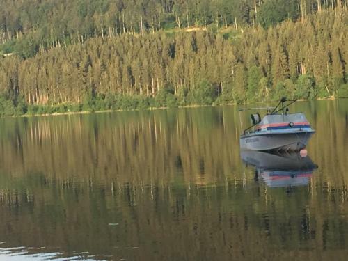 Apartamento Titisee Haus Vogelnest