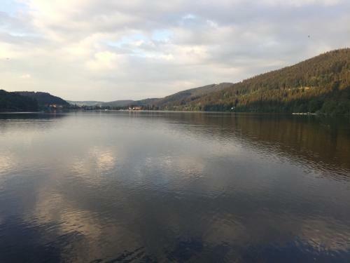 Apartamento Titisee Haus Vogelnest