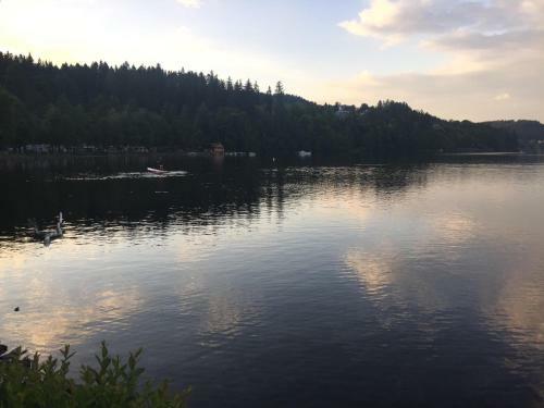 Apartamento Titisee Haus Vogelnest