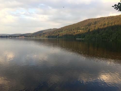 Apartamento Titisee Haus Vogelnest