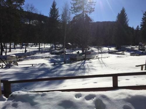 Apartamento Titisee Haus Vogelnest