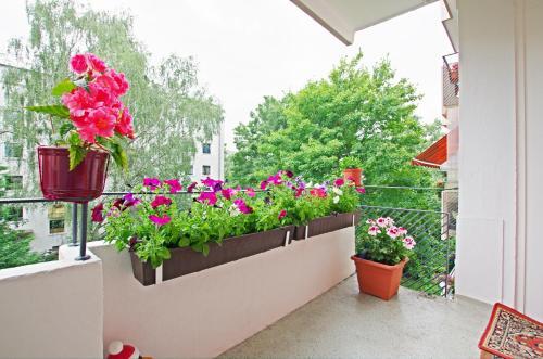 Apartamento Mittelfeld Privatapartment (1718)