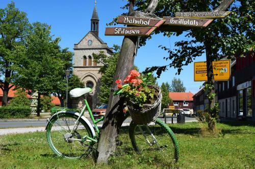 Harz Meets Friends