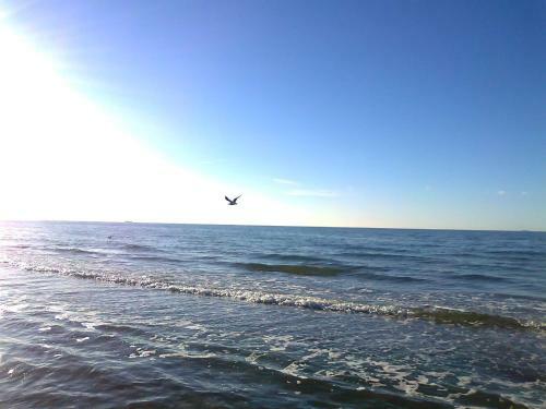 Apartamento Wei�es Ostseeparadies