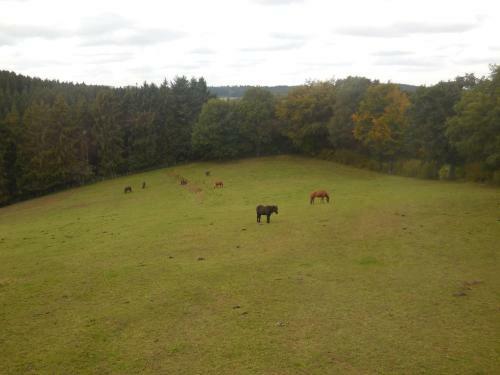 Eifeltalblick