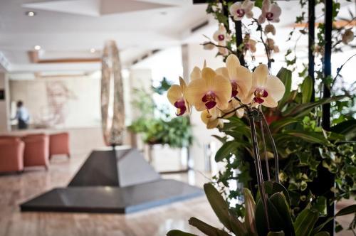 Hotel Intercontinental - Tamanaco Caracas