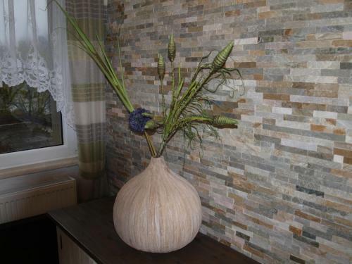 Apartamento Macke`s Ferienwohnungen