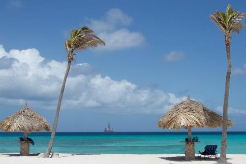 Aruba Palm Beach House