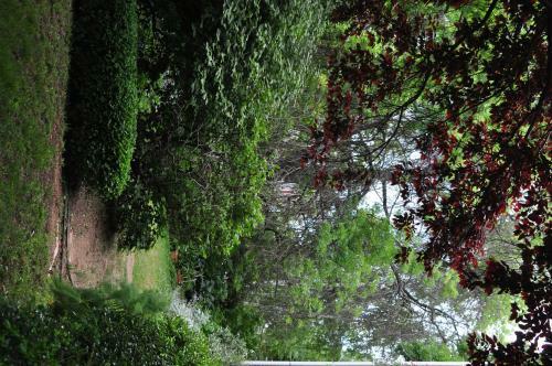 Bed & Breakfast Holmhurst Guest House