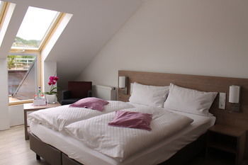 Rheinhotel Arte