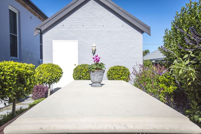 Agroturismo Camellia Cottage