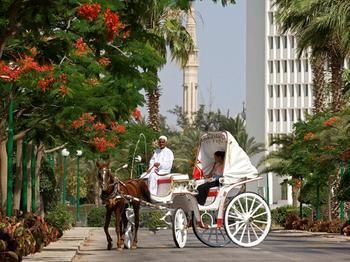 Hotel Mercure Ismailia