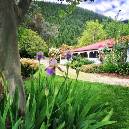 Bright Pottery Retreat