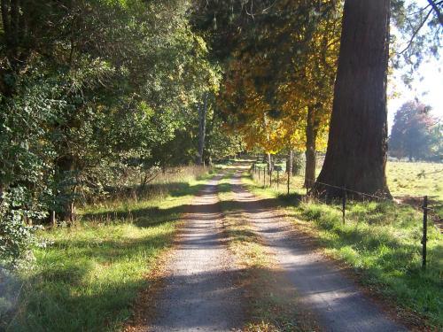 Agroturismo Drumreagh Bed & Breakfast Cabins