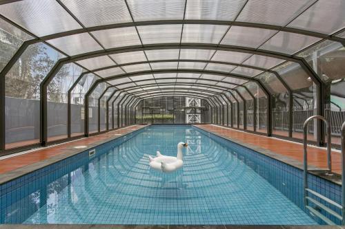 Modern Two Bedroom Apartment In Melbourne Cbd