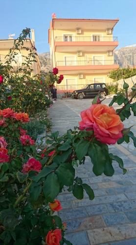 Hotel Dhori House Dhermi