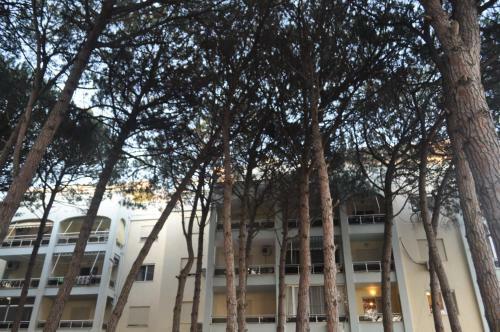Pine View Apartment