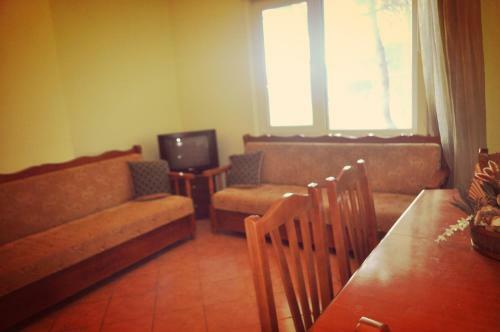 Pine View Apartment