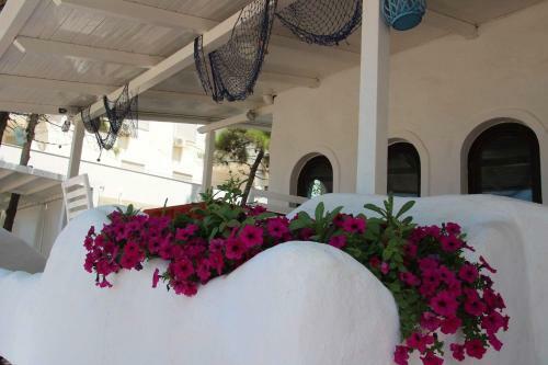 Hotel Pampas Duplex Rooms