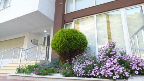 Apartamento Duplex